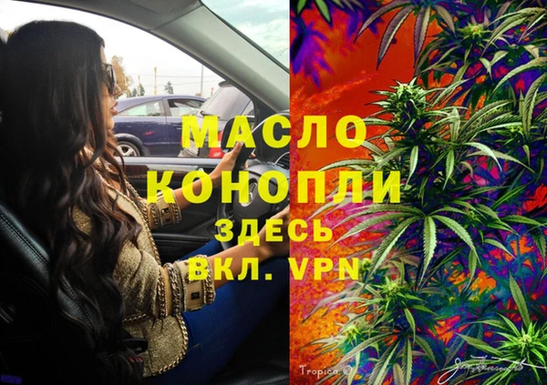 индика Магас