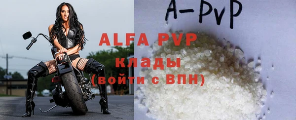 молекула духа Арсеньев