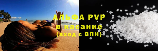 молекула духа Арсеньев